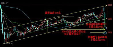 支撑点的解释支撑点的解释是什么