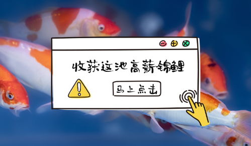 妥当是什么意思