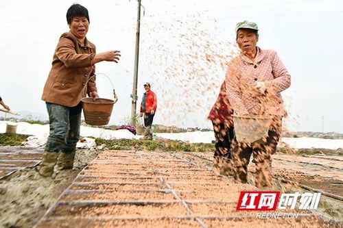 川尻早人的相关场景