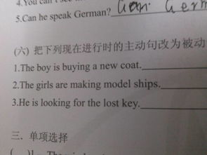 什么是被动句