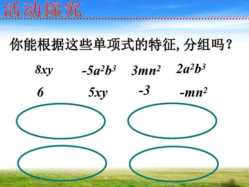 同类项的概念及法则，同类项的定义并举例