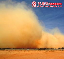 风沙活动的危害与防治