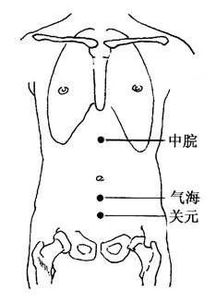 气海的作用与功效 气海的准确位置