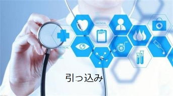 込怎么读音是什么意思，琫怎么读音