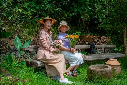 圃的组词大全(约50个) 圃的词语解释_圃是什么意思?
