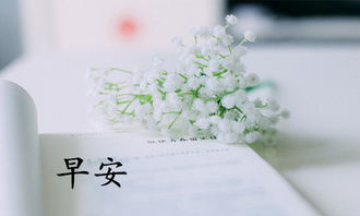 淡然一笑,代表了什么意思呢?