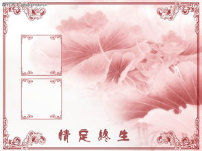 轻云蔽月什么意思，江湖悠悠轻云蔽月