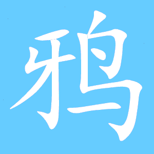 鸭的笔顺，乌的笔顺