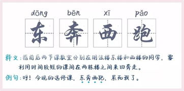 方向的四字词语，东奔西跑的类似的词语