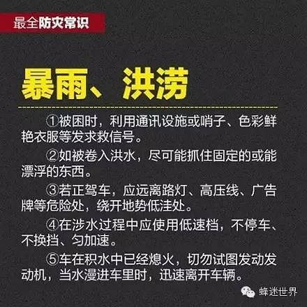 以防万一是什么意思
