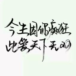 桀骜不驯的意思