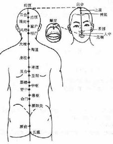 八脉指的是哪八脉，八脉交会主治歌诀