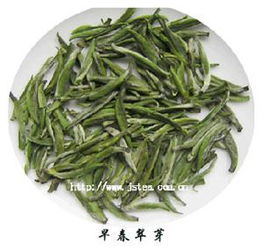 白豪之赐是什么意思?