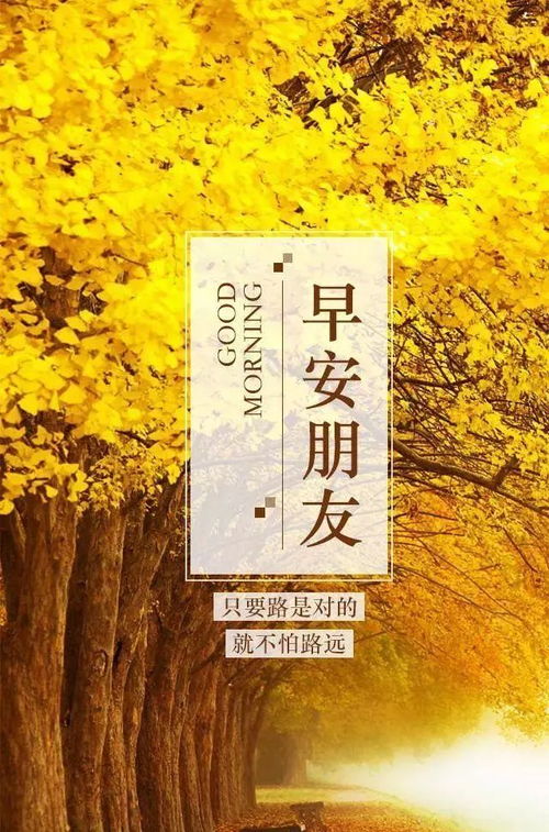 “人非草木,孰能无情?”是出自《庄子》吗?