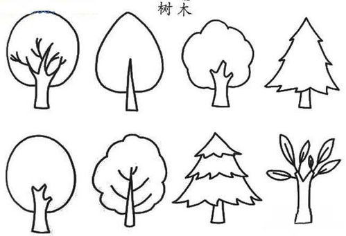 树的笔画名称，树的笔画顺序正确写法图