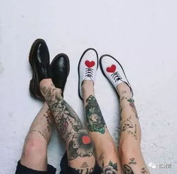 遮盖和覆盖有什么区别