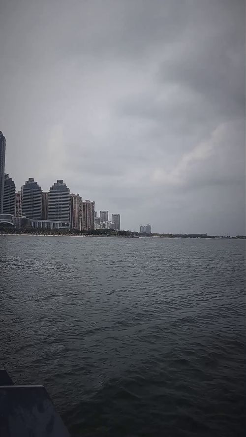 近乡情怯的近义词，近乡情怯仍无可避免