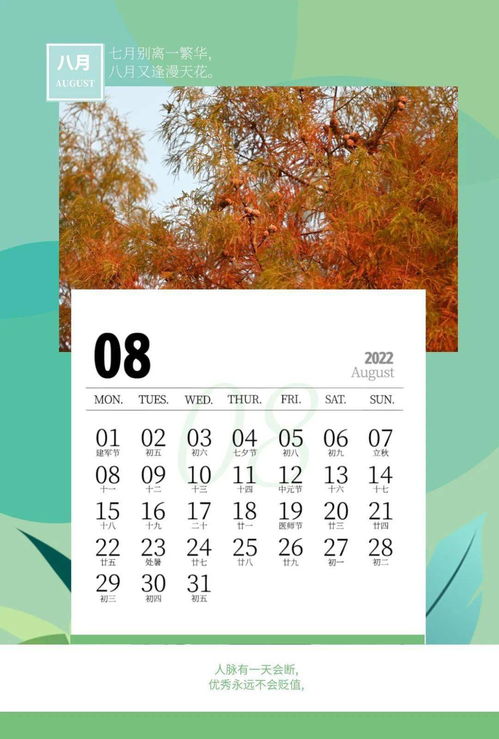 涵虚混太清的上一句，涵虚混太清全诗