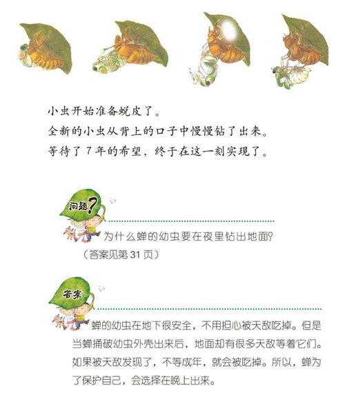 春回大地的拼音怎么读，春回大地的拼音怎么