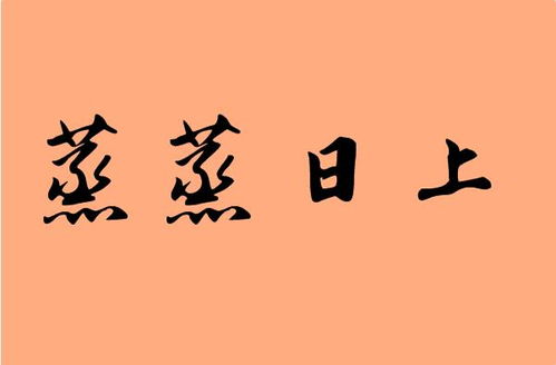 祝贺的意思