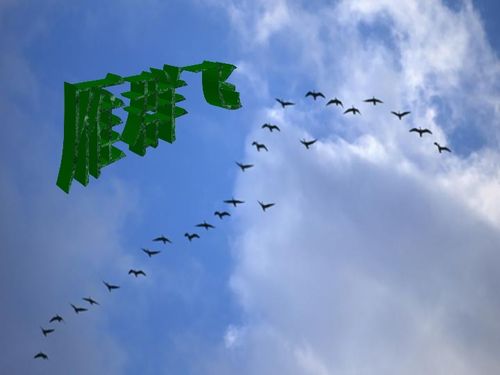 雁群是按怎样的方式飞行的?