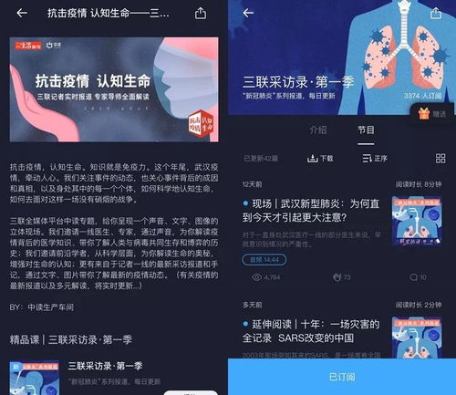 社会英语怎么读social
