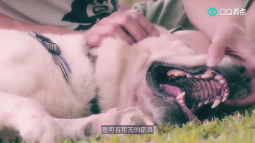 可有可无什么意思