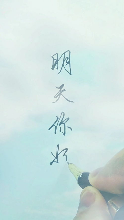 烦忧的拼音，烦忧的反义词是什么