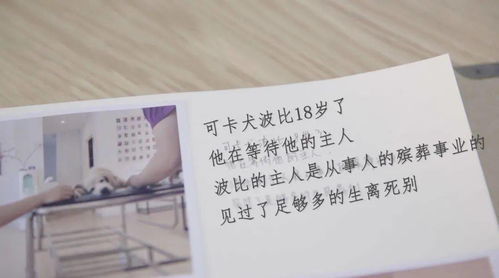 炽痛、嗥鸣、斑斓、谰语、怪诞、亘古、默契、田垄、蚱蜢、污秽 读音