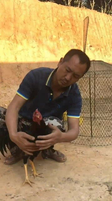 伤害的反意词