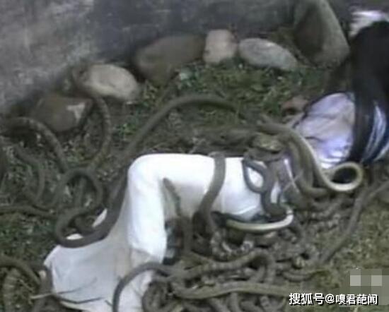 “虿盆”这种刑法,为何能堪称历史第一酷刑?