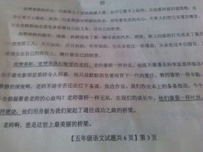 近反义词词语，朴素近义词反义词是什么词