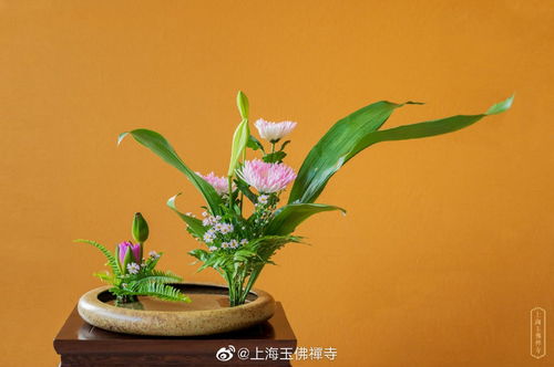 什么是盂兰节?