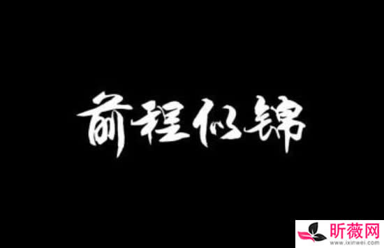 前程似锦什么意思