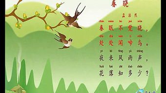 春晓古诗全文意思解释