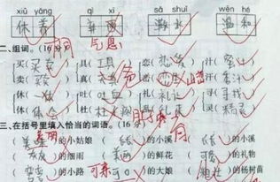 合格造句简单一点，合格造句一年级简单