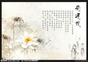爱莲说的古诗注音及翻译