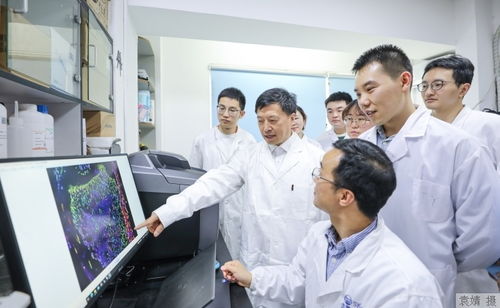 剜肉补疮的意思是什么?