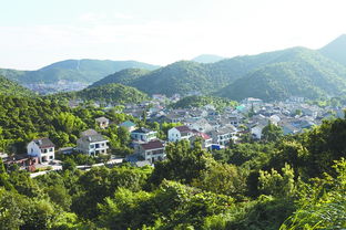 梅园村虹口店，梅园村曲阳店