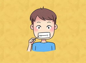 咀嚼的是什么意思