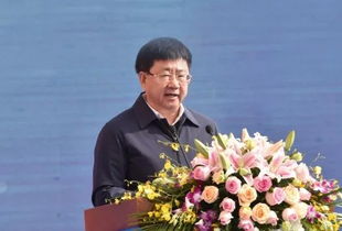 张逸帆，张逸伦