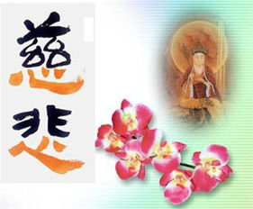 基督教慈悲的意思，无缘慈悲的意思