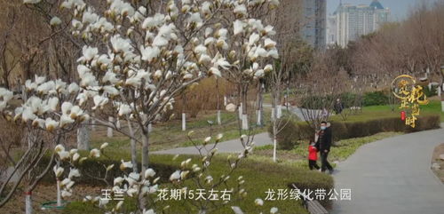 腰如束素这个成语有比喻的意思吗?
