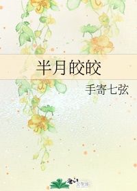 星月皎皎恨其人遥遥意思