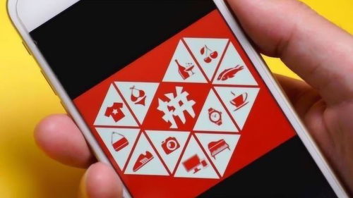 的的拼音是什么?