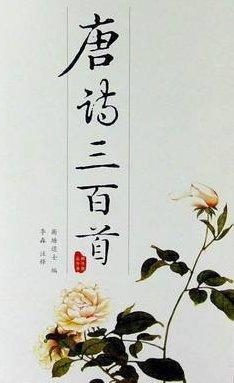 乐府是什么?