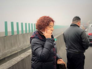 舟车劳顿的车读che还是ju，舟车劳顿的拼音
