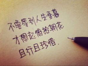 且行且珍惜是什么意思?