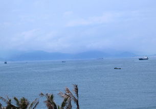 盘虬卧龙是什么意思，东北话伶仃是什么意思