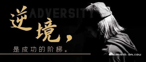 逆境的意思说文解字，逆境的意思英语